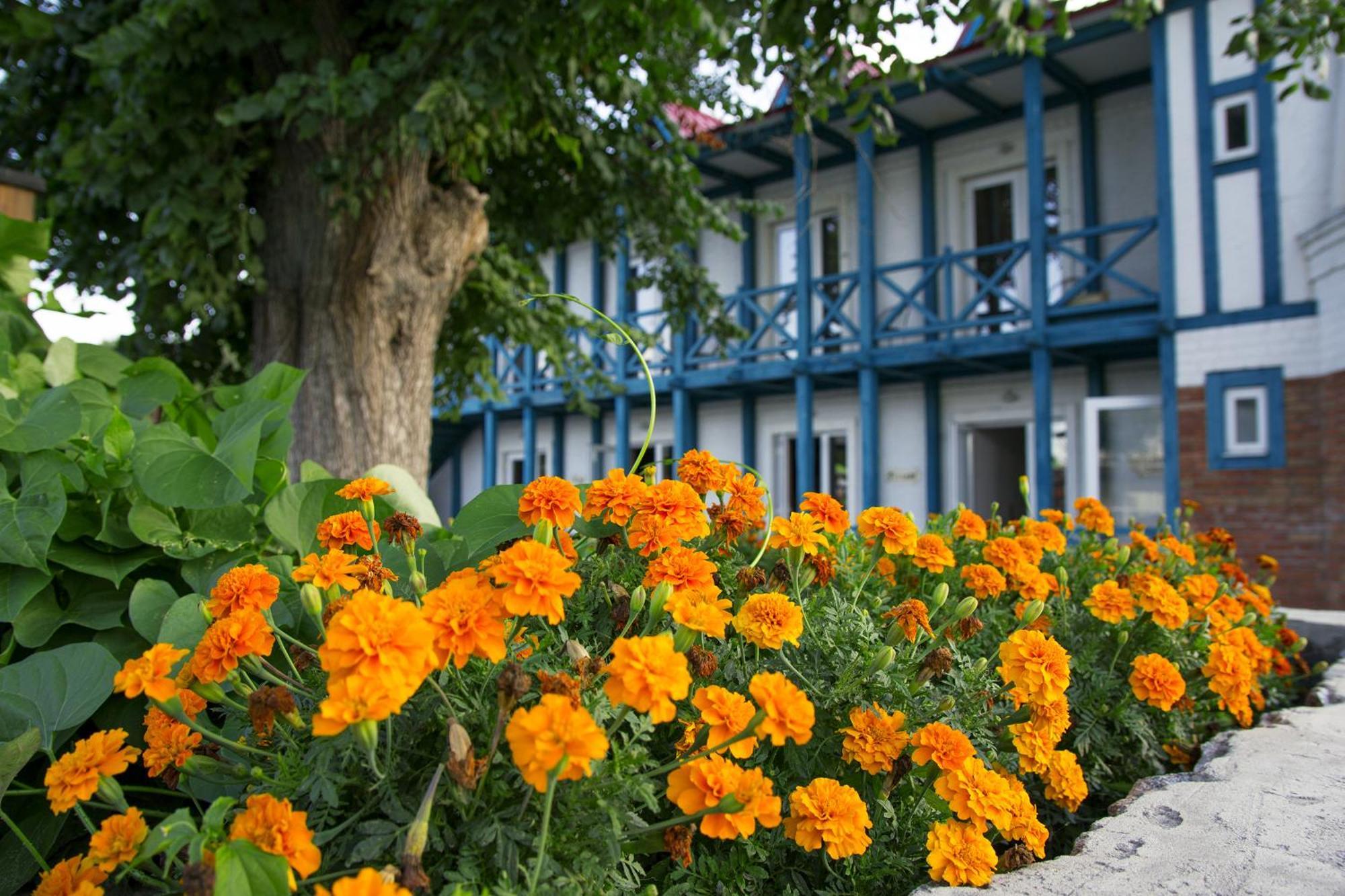 Mayak Resort Kam'yani Potoky Extérieur photo
